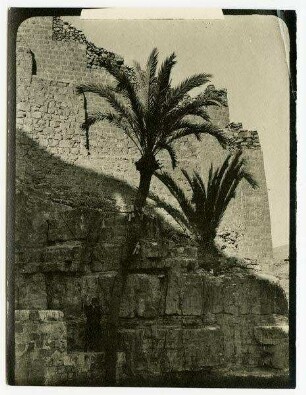marsaba [mar saba]