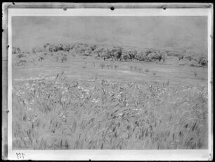 Landschaft bei Oberursel
