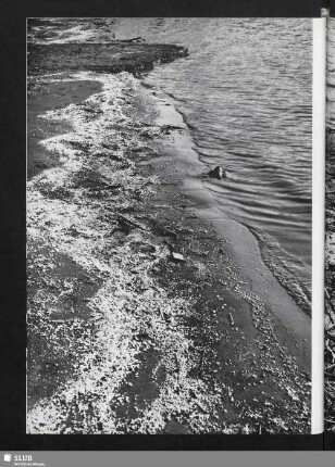 Geschehen am Strand (Strand und Meer)