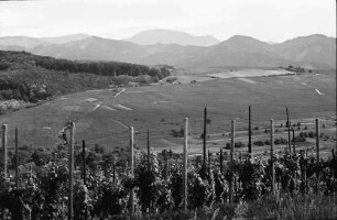 Batzenberg: Blick vom Batzenberg gegen die Schwarzwaldberge