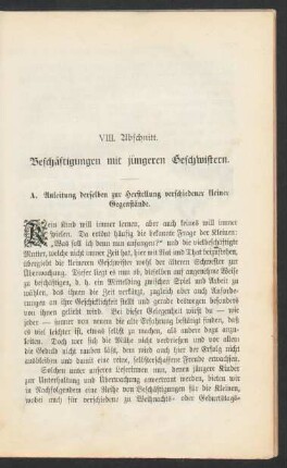 VIII. Abschnitt.