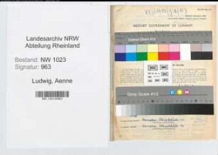 Entnazifizierung Aenne Ludwig , geb. 23.01.1911 (Studienassessorin)