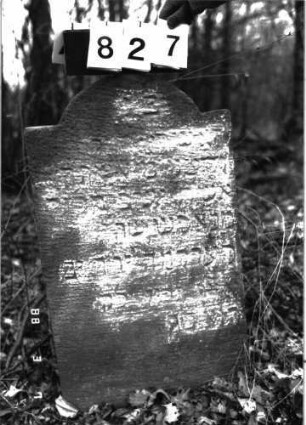 Grabstein 827