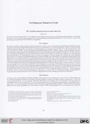 Archäologischer Befund und Funde