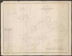 Plan über die Gemeinde-Waldungen von Eschelbronn auf dortiger Gemarkung