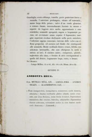 Genere IV. Anodonta Brug.