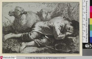 [Schlafender Bauernjunge im Vordergrund, hinter ihm zwei Schafe]