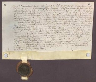 Attestat des Domkapitels zu Münster über die Ritterbürtigkeit des Hermann Theodor von Westerholt zu Vorhelm.