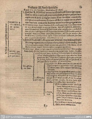 Caput VII. De Pontibus, Fluminibus & Mari.