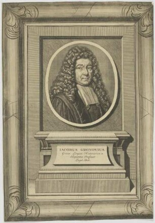 Bildnis des Iacobus Gronovius