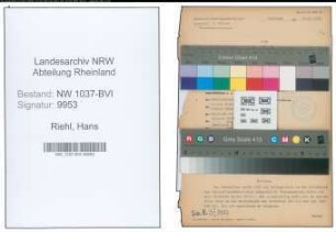 Entnazifizierung Hans Riehl , geb. 27.03.1903 (Zollsekretaer)