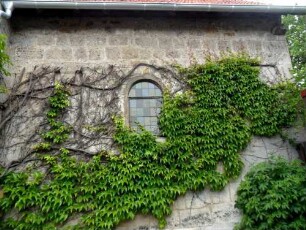 (Evangelische Kirche) - Rechteckchor (romanisch) von Süden mit (teils überwachsenen) Blendbiforien-24062013Imig-