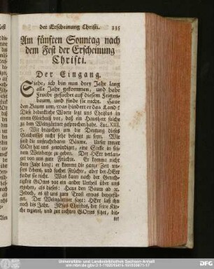 Am fünften Sonntag nach dem Fest der Erscheinung Christi.