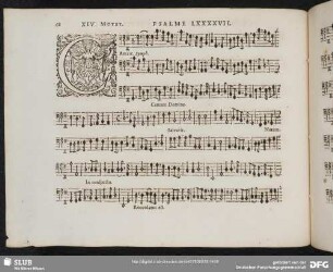 XIV. Cantate Domino canticum novum
