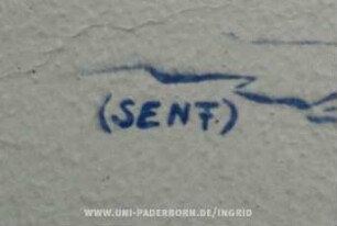 SENF
