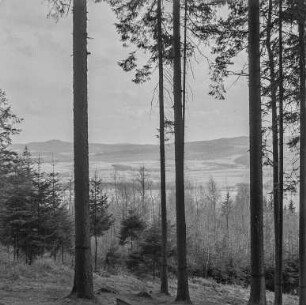 Aussicht vom Mönchswalder Berg : Blick vom Mönchswalder Berg in das Lausitzer Bergland