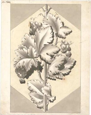Zocher, Ernst; Studienzeichnungen nach Gipsen - florales Ornament (Ansicht)