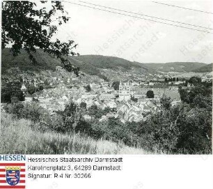 Amorbach im Odenwald, Panorama