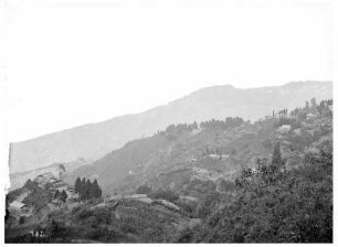 Darjeeling/ Indien: Bergszenerie auf dem Weg zur Stadt