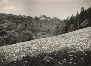 Altenberg-Bärenstein (Erzgebirge) südlich Glashütte. Müglitztal und Schloß Bärenstein von Südosten