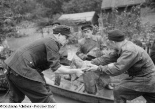Männer bei Schutzvorkehrungen (Stabilisieren eines Dammes mit Steinen)