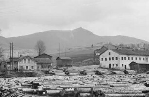Holzflößerei : Holzflößerei auf dem Fluss Regen