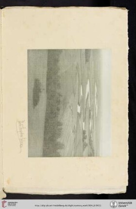 [Alvin Langdon Coburn, III. The Dragon, toned halftone reproduction]
