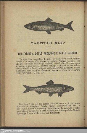 Capitolo XLIV. Dell'aringa, delle acciughe e delle sardine