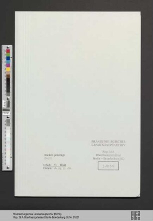 Richter, Martin
