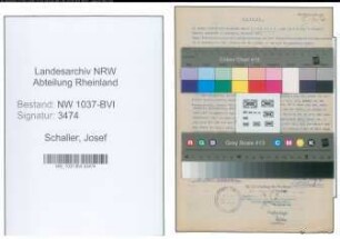 Entnazifizierung Josef Schaller , geb. 04.03.1906 (Metzger)