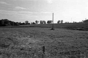 In Mühlenbeck-Feldheim