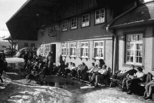 Halde (Hofsgrund): Sonnende Gäste