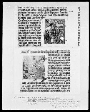Avenares, Astrologische Handschrift — Buchseite mit Konstellationen der Sternbilder, Folio 16verso — Konstellationen der Sternbilder, Folio 16verso