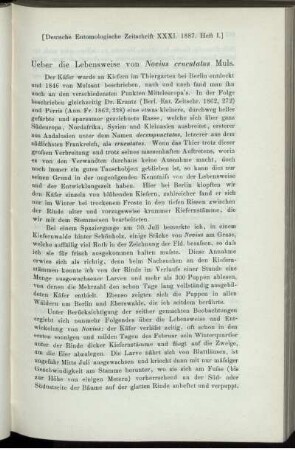 Ueber die Lebensweise von Novius cruentatus Muls.