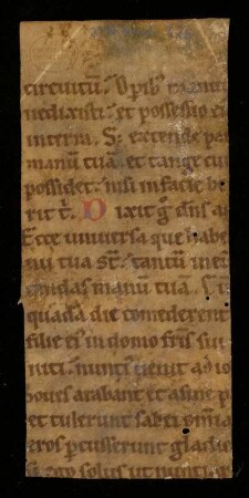 [Liber Iob]; Iob 1.