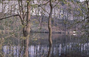 Gaststätte Kupfermühle: Mühlenteich