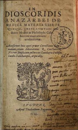 In Dioscoridis Anazarbei De Medica Materia Libros Qvinqve, Amati Lvsitani Doctoris Medici ac Philosophi Celeberrimi enarrationes eruditissimae