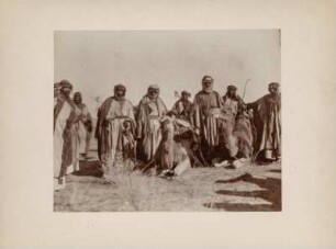 Araber : Acht arabische Männer mit Kamelen in der mesopotamischern Steppe.