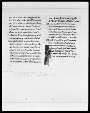 Perikopenbuch — Schriftseite, Folio 24recto