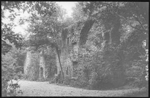 Grimma. Nimbschen Klosterruine