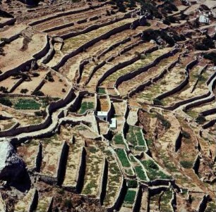 Folegandros. Terrassen-Trockenmauern unterhalb der Chora