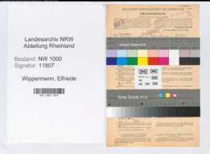 Entnazifizierung Elfriede Wippermann, geb. 08.02.1901 (Verw.Gehilfin)