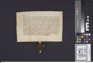Babenhausen: Graf Reinhard v. Hanau verleiht der Stadt Babenhausen das Ohmgeld
