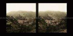 Blick auf Dorf und Burgruine Eppstein
