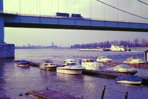 Köln: Rodenkirchen: Rhein