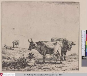 [The Cow, the Bull and the Calf; Calf, Cow, and Bull; Les vaches, le taureau et le veau; Kuh, Bulle und Kalb]