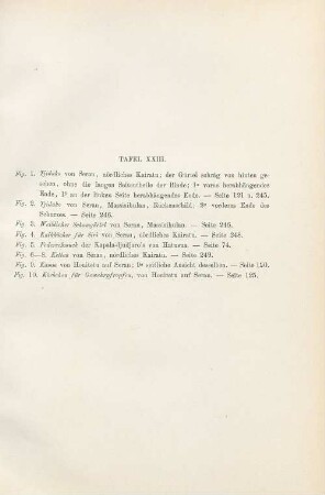 Tafel. XXIII. Fig. 1. Tijdako von Seran, nördliches Kairatu ; ... Fig. 2. Tjidako von Seran, Massisihulan, ... Fig. 3. Weiblicher Schamgürtel von Seran, ...