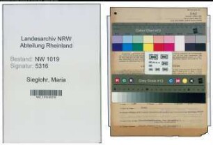 Entnazifizierung Maria Sieglohr , geb. 29.08.1902 (Drogistin)