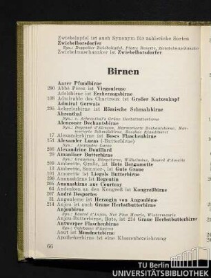 Birnen