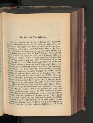 Der Puls und seine Bedeutung.